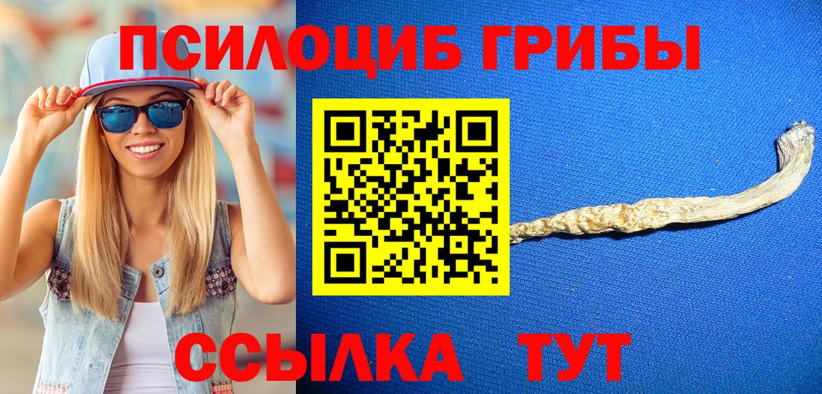 Галлюциногенные грибы Cubensis  Вход с VPN  где купить наркотик  Галлюциногенные грибы Psilocybe  Ногинск 